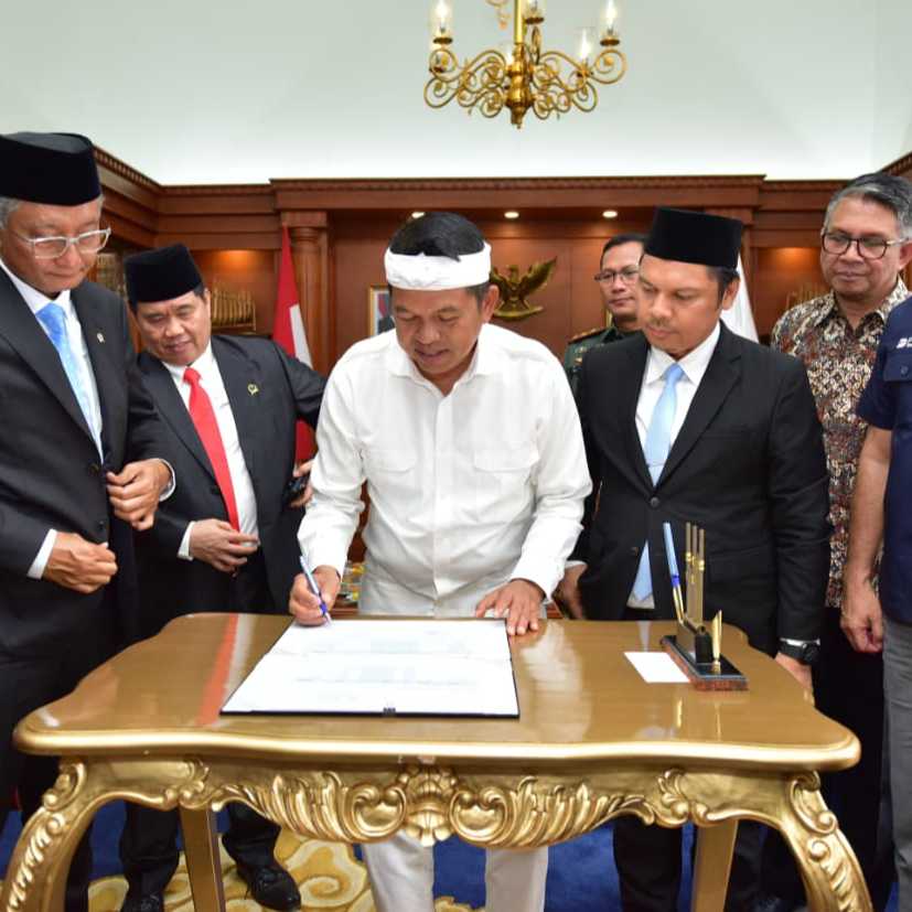 IMGDonec metus orci, malesuada et lectus vitae